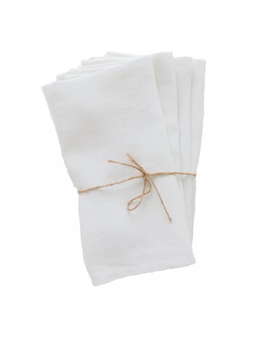 Set of 4 Mont Blanc Linen Napkins la colonne vertébrale