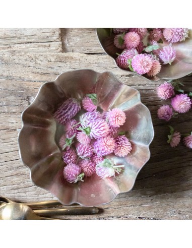 Silver Scalloped Bowl Comparez plus de prix