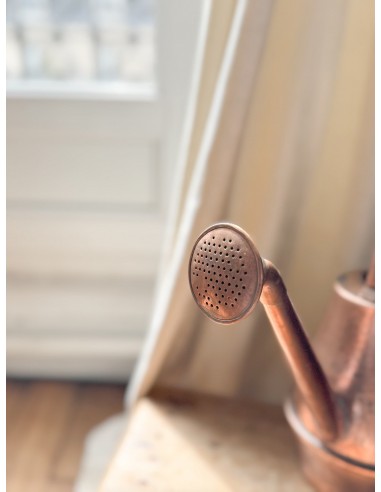 Late 19th/Early 20th Century Copper Watering Can livraison et retour toujours gratuits