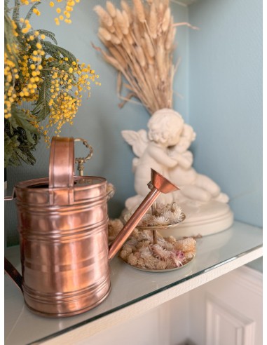 Ribbed Copper Watering Can with Showering Head Amélioration de cerveau avec