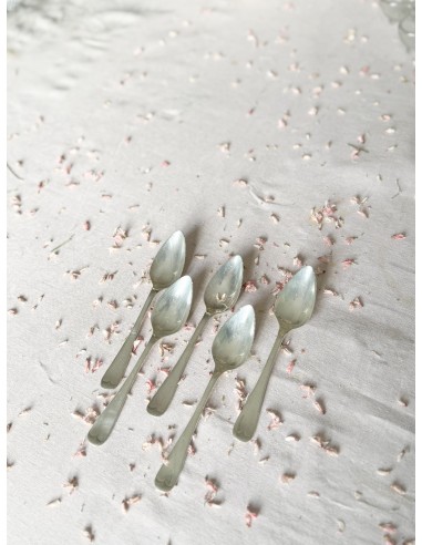 Set of 5 Grapefruit Spoons en ligne