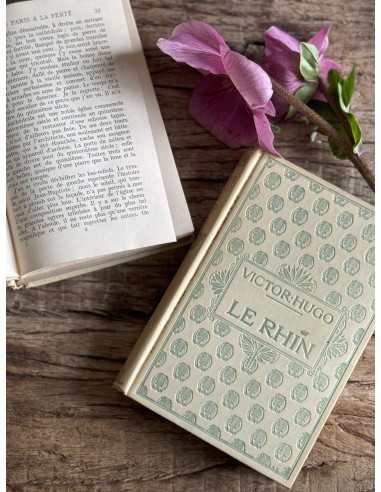 Le Rhin by Victor Hugo store